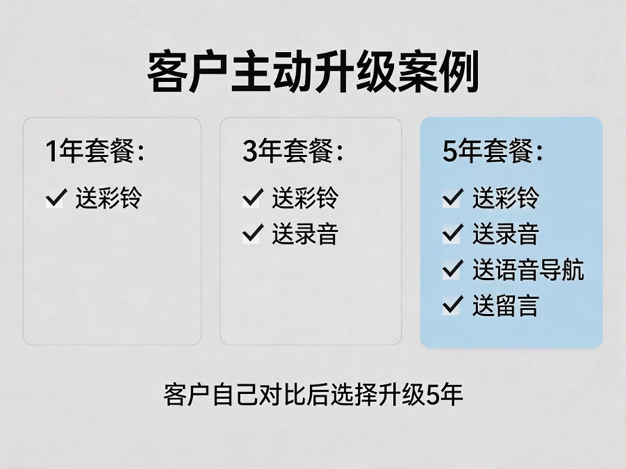 客户主动升级套餐的聊天截图示意（已脱敏）