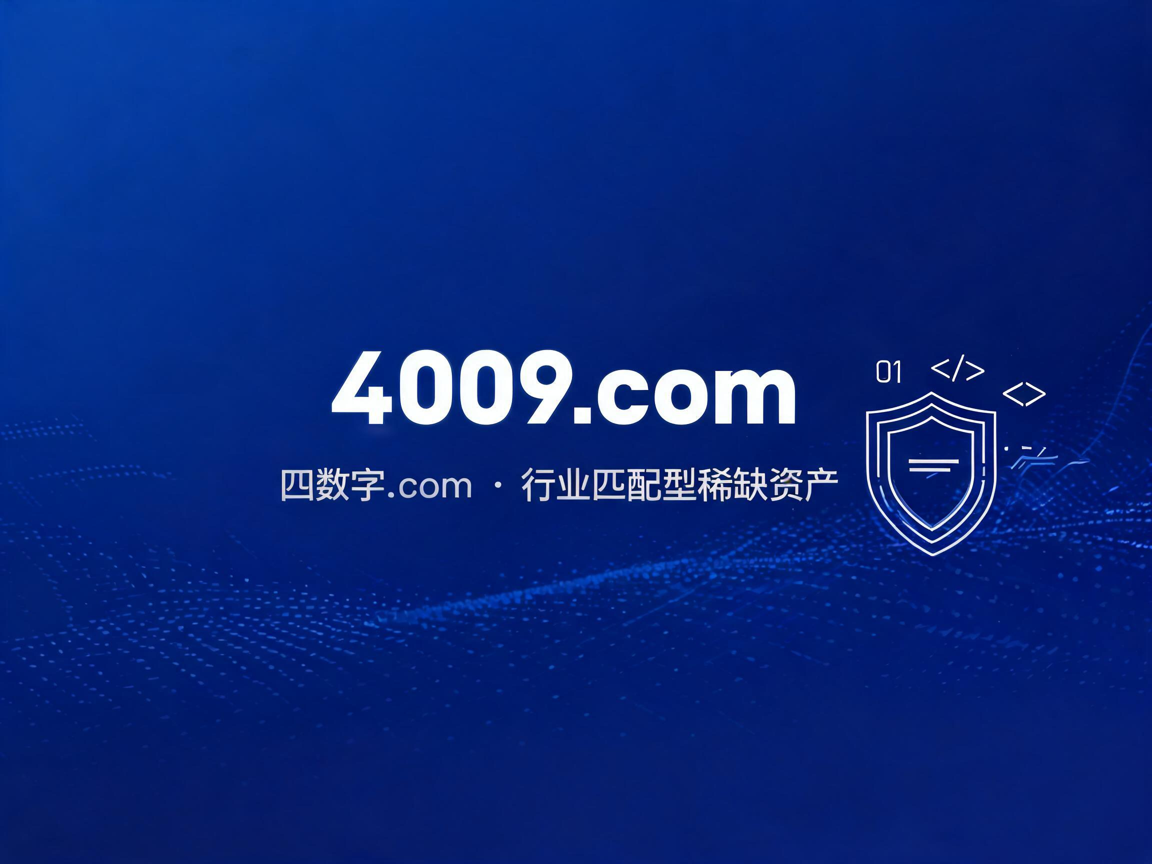 4009.com域名资产说明图