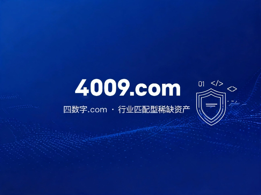 4009.com域名资产说明图