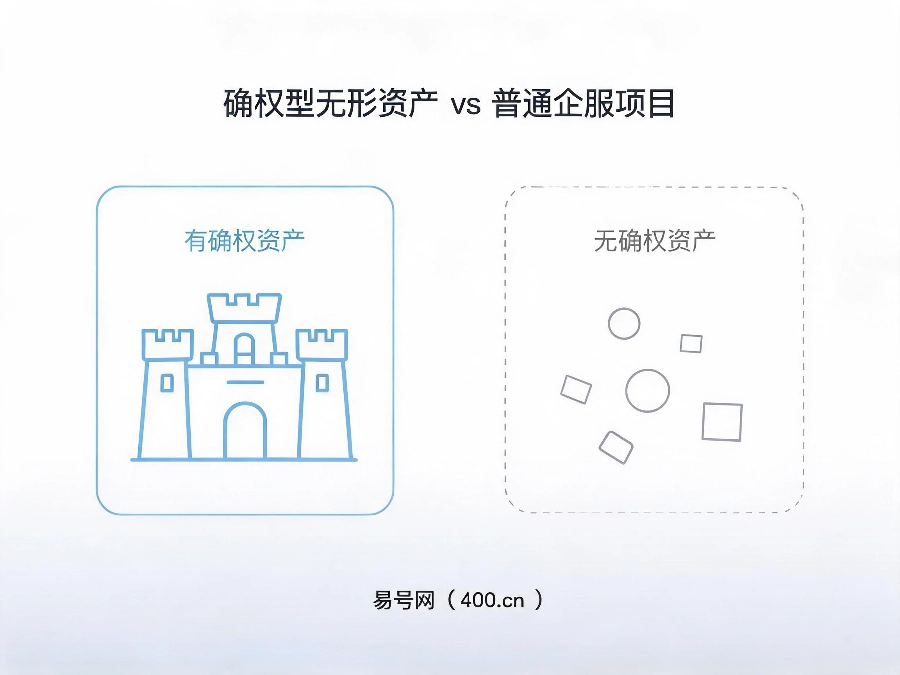 确权型无形资产 vs 普通企服项目对比