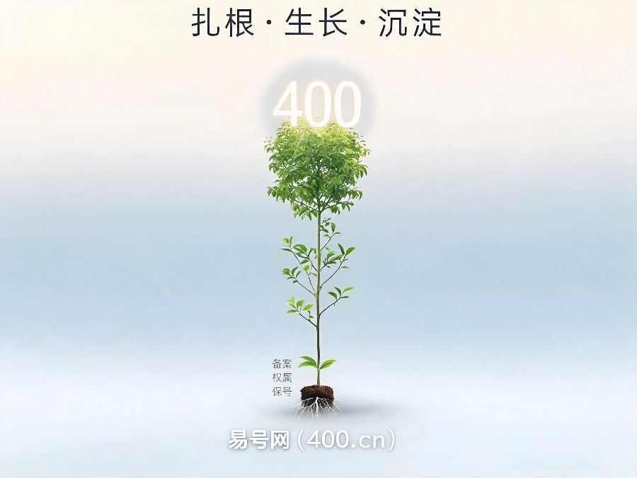 2026年400号码作为无形资产长期布局